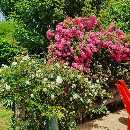 Apartamento Giardino Dei Fiori *