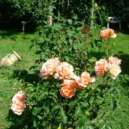Apartamento Giardino Dei Fiori