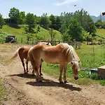Giardino Dei Fiori *