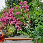 Giardino Dei Fiori شقة *