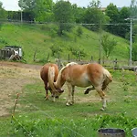 شقة Giardino Dei Fiori