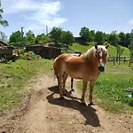 شقة Giardino Dei Fiori *