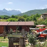 Giardino Dei Fiori شقة كاستيلنيوفو دي غارفانيانا