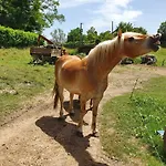 Giardino Dei Fiori شقة *