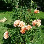 شقة Giardino Dei Fiori