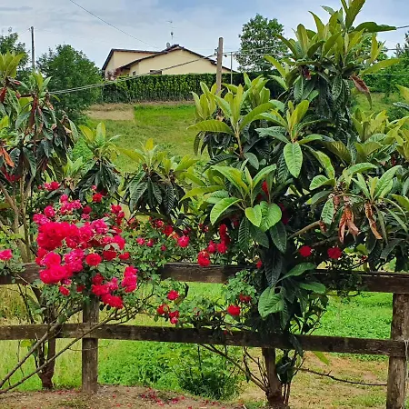 Giardino Dei Fiori * Castelnuovo di Garfagnana