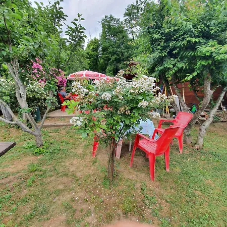 Giardino Dei Fiori