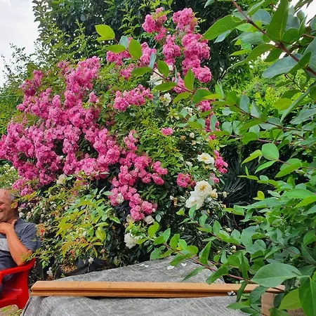 Giardino Dei Fiori Apartment *