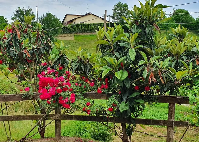 Giardino Dei Fiori * Castelnuovo di Garfagnana