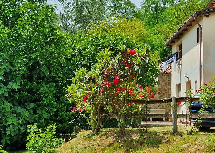 Giardino Dei Fiori *