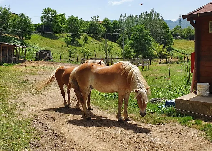 Giardino Dei Fiori *