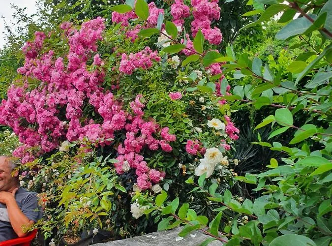 Giardino Dei Fiori Διαμέρισμα *