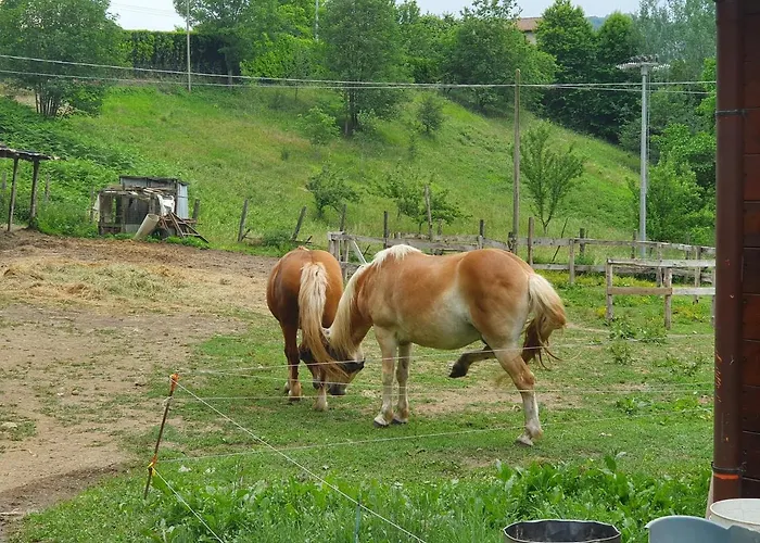Διαμέρισμα Giardino Dei Fiori