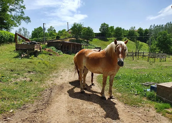 Διαμέρισμα Giardino Dei Fiori *