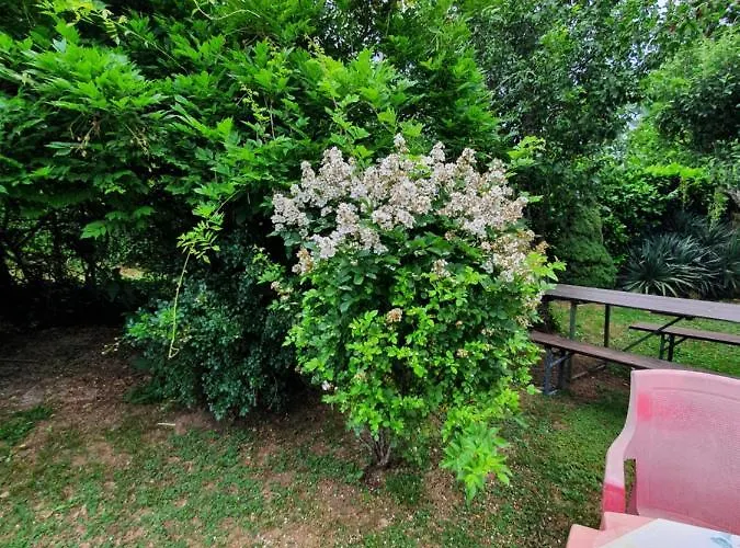 Διαμέρισμα Giardino Dei Fiori