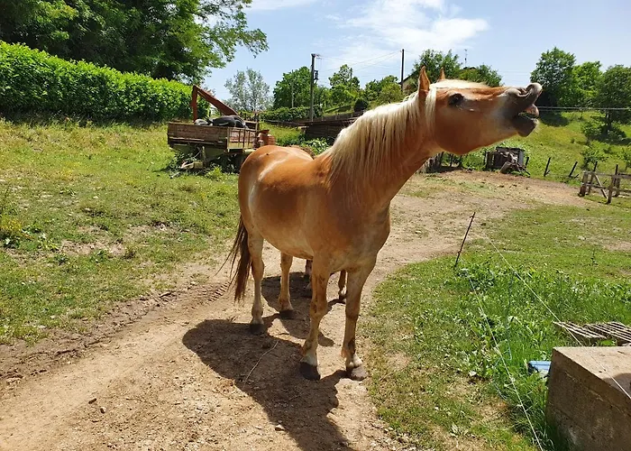 Giardino Dei Fiori Διαμέρισμα *